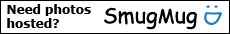 For professional grade photo hosting, check out SmugMug